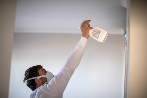 Mold Removal and Inspection in Eden Prairie, MN
